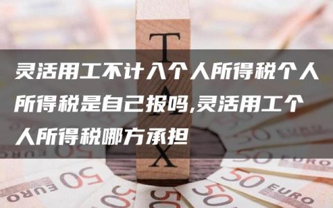 灵活用工不计入个人所得税个人所得税是自己报吗,灵活用工个人所得税哪方承担