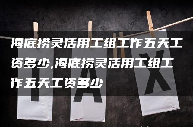 海底捞灵活用工组工作五天工资多少,海底捞灵活用工组工作五天工资多少