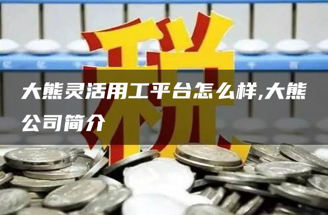 大熊灵活用工平台怎么样,大熊公司简介