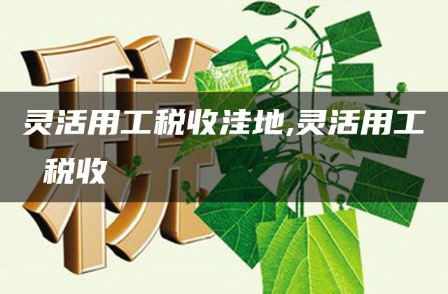 灵活用工税收洼地,灵活用工 税收