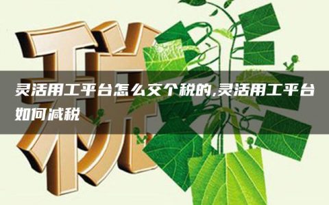 灵活用工平台怎么交个税的,灵活用工平台如何减税