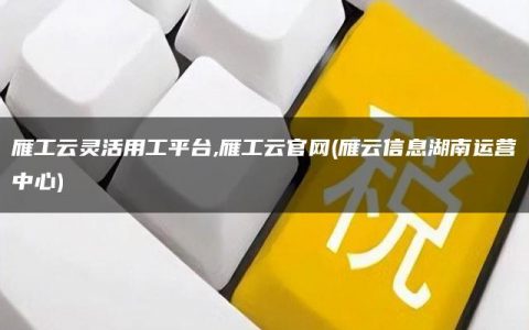 雁工云灵活用工平台,雁工云官网(雁云信息湖南运营中心)