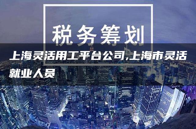 上海灵活用工平台公司,上海市灵活就业人员