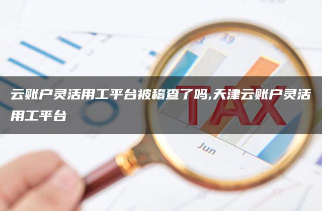 云账户灵活用工平台被稽查了吗,天津云账户灵活用工平台