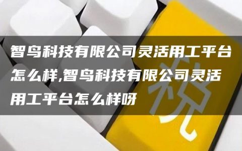 智鸟科技有限公司灵活用工平台怎么样,智鸟科技有限公司灵活用工平台怎么样呀