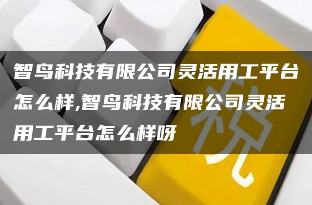 智鸟科技有限公司灵活用工平台怎么样,智鸟科技有限公司灵活用工平台怎么样呀