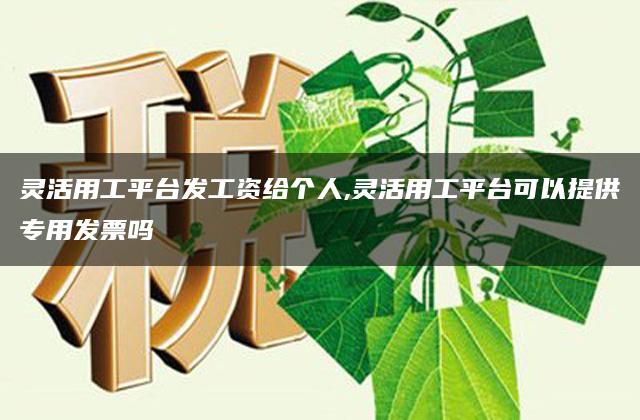 灵活用工平台发工资给个人,灵活用工平台可以提供专用发票吗