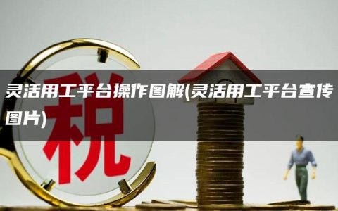 灵活用工平台操作图解(灵活用工平台宣传图片)