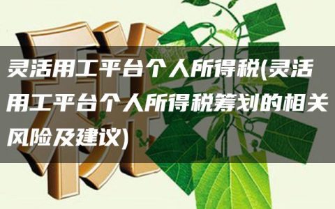 灵活用工平台个人所得税(灵活用工平台个人所得税筹划的相关风险及建议)