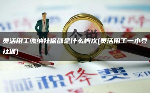 灵活用工缴纳社保都是什么档次(灵活用工一小豆社保)