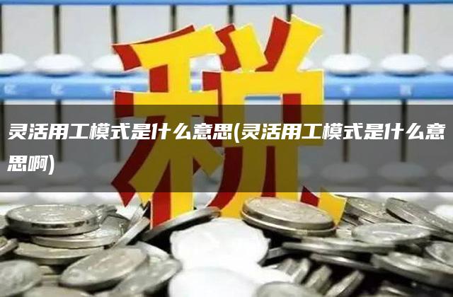 灵活用工模式是什么意思(灵活用工模式是什么意思啊)