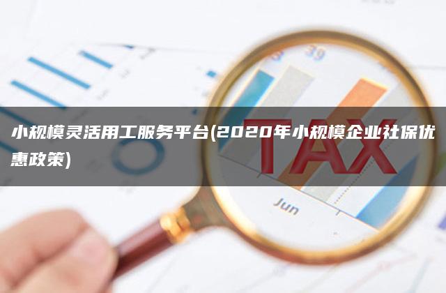 小规模灵活用工服务平台(2020年小规模企业社保优惠政策)