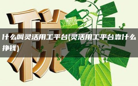 什么叫灵活用工平台(灵活用工平台靠什么挣钱)