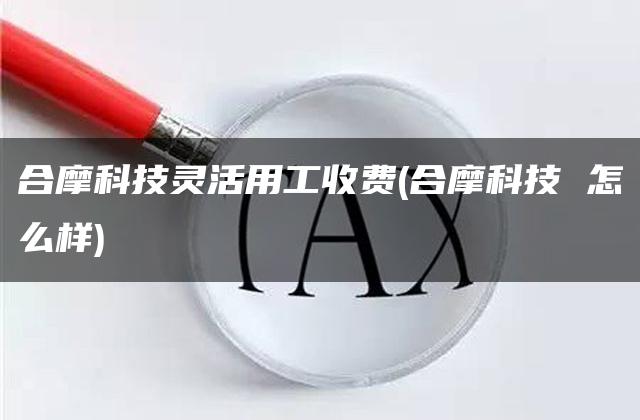 合摩科技灵活用工收费(合摩科技 怎么样)