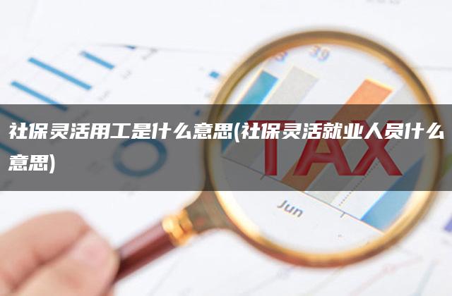 社保灵活用工是什么意思(社保灵活就业人员什么意思)