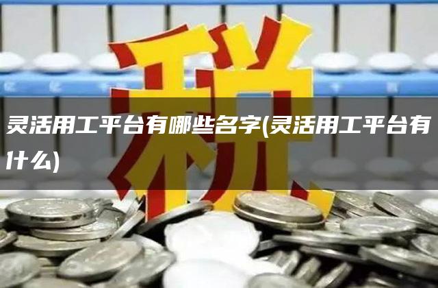 灵活用工平台有哪些名字(灵活用工平台有什么)