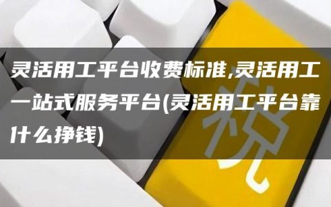 灵活用工平台收费标准,灵活用工一站式服务平台(灵活用工平台靠什么挣钱)