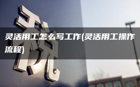 灵活用工怎么写工作(灵活用工操作流程)