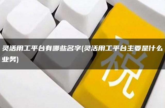 灵活用工平台有哪些名字(灵活用工平台主要是什么业务)