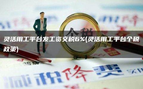 灵活用工平台发工资交税6%(灵活用工平台个税政策)