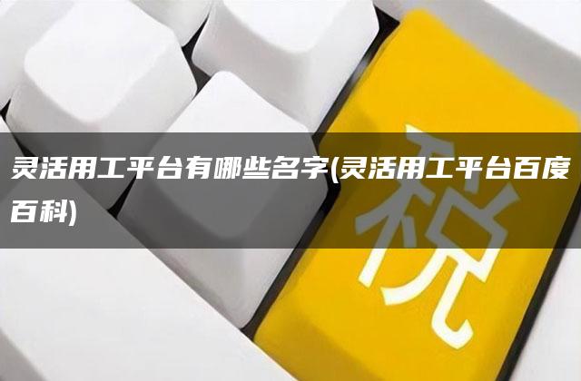 灵活用工平台有哪些名字(灵活用工平台百度百科)