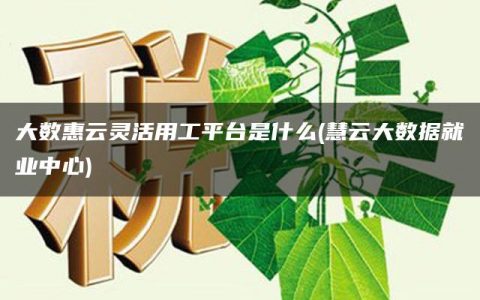 大数惠云灵活用工平台是什么(慧云大数据就业中心)