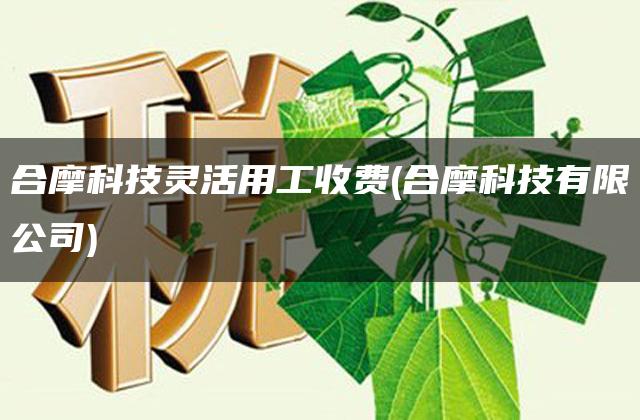 合摩科技灵活用工收费(合摩科技有限公司)