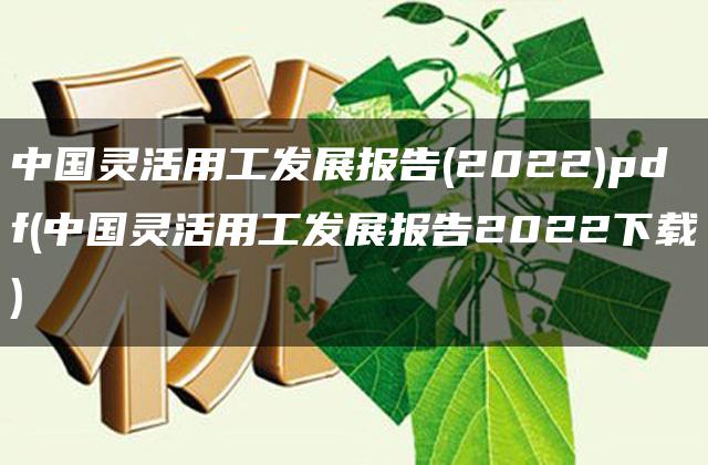 中国灵活用工发展报告(2022)pdf(中国灵活用工发展报告2022下载)