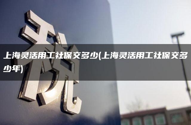 上海灵活用工社保交多少(上海灵活用工社保交多少年)