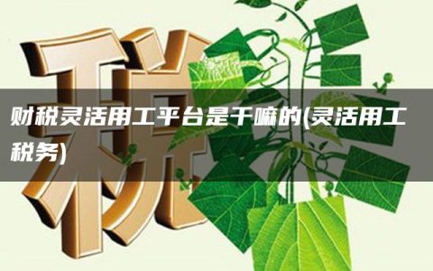 财税灵活用工平台是干嘛的(灵活用工 税务)