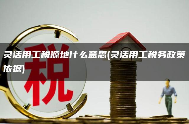 灵活用工税源地什么意思(灵活用工税务政策依据)