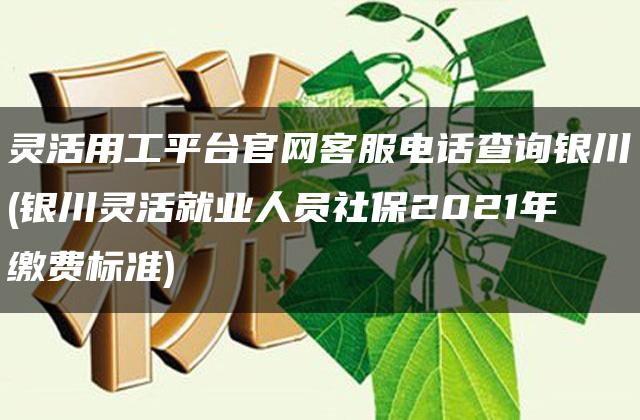 灵活用工平台官网客服电话查询银川(银川灵活就业人员社保2021年缴费标准)