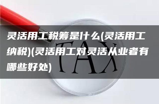 灵活用工税筹是什么(灵活用工 纳税)(灵活用工对灵活从业者有哪些好处)