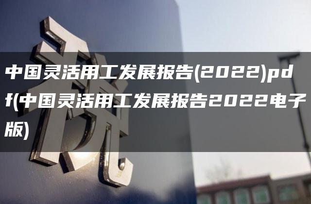 中国灵活用工发展报告(2022)pdf(中国灵活用工发展报告2022电子版)