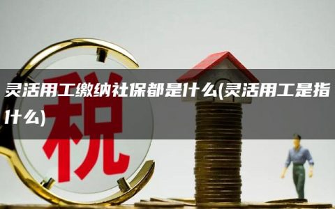 灵活用工缴纳社保都是什么(灵活用工是指什么)