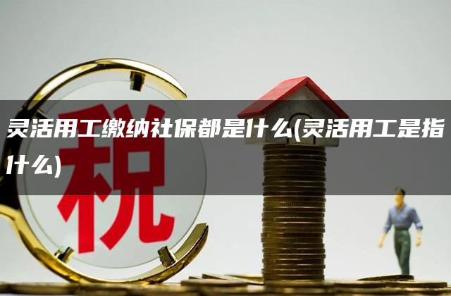 灵活用工缴纳社保都是什么(灵活用工是指什么)