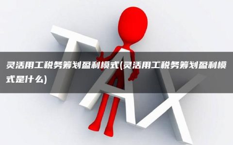 灵活用工税务筹划盈利模式(灵活用工税务筹划盈利模式是什么)