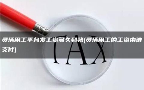 灵活用工平台发工资多久到账(灵活用工的工资由谁支付)