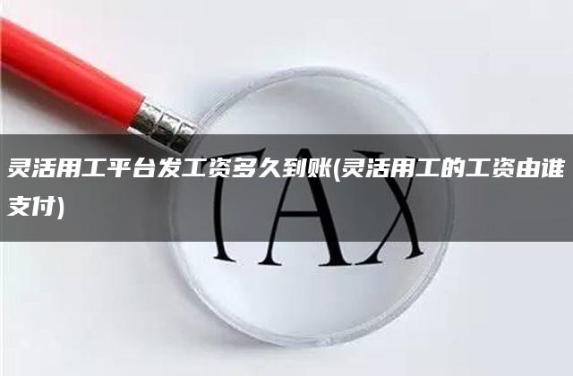 灵活用工平台发工资多久到账(灵活用工的工资由谁支付)