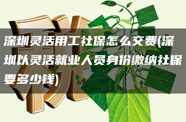 深圳灵活用工社保怎么交费(深圳以灵活就业人员身份缴纳社保要多少钱)