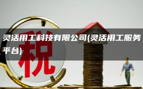 灵活用工科技有限公司(灵活用工服务平台)