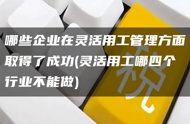 哪些企业在灵活用工管理方面取得了成功(灵活用工哪四个行业不能做)