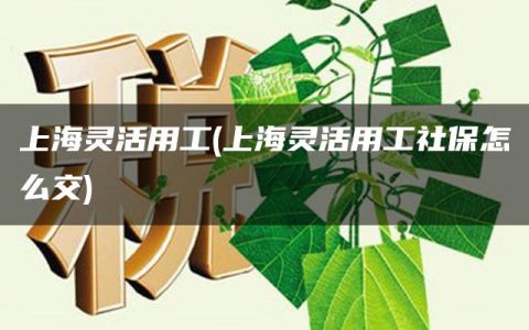 上海灵活用工(上海灵活用工社保怎么交)