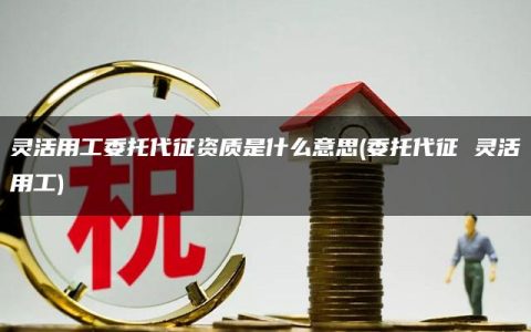 灵活用工委托代征资质是什么意思(委托代征 灵活用工)