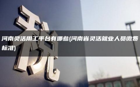 河南灵活用工平台有哪些(河南省灵活就业人员缴费标准)