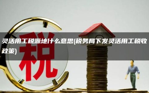 灵活用工税源地什么意思(税务局下发灵活用工税收政策)