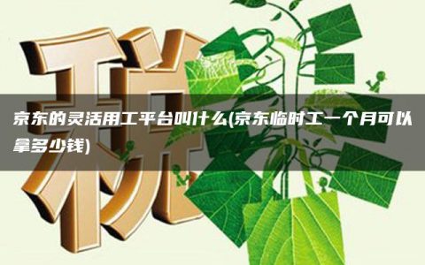 京东的灵活用工平台叫什么(京东临时工一个月可以拿多少钱)