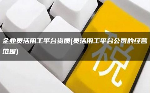 企业灵活用工平台资质(灵活用工平台公司的经营范围)