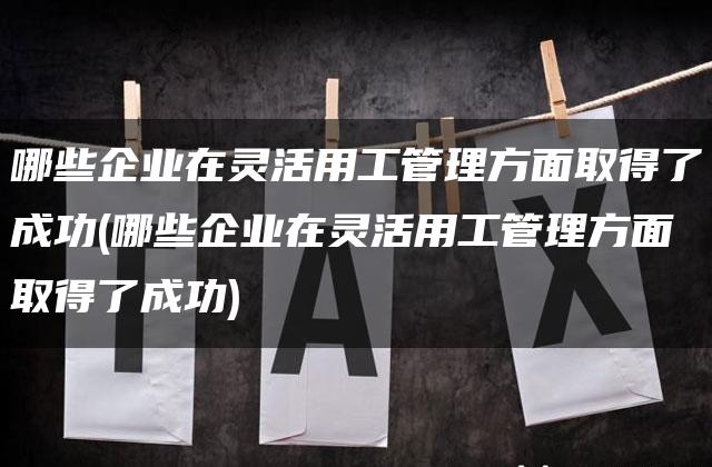 哪些企业在灵活用工管理方面取得了成功(哪些企业在灵活用工管理方面取得了成功)