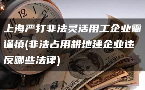 上海严打非法灵活用工企业需谨慎(非法占用耕地建企业违反哪些法律)